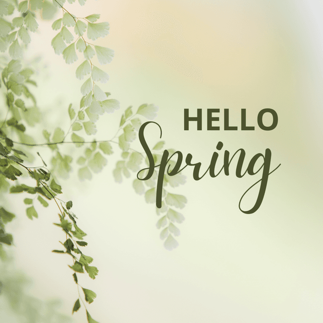 Sage Renewal at Elegant Sage salon and spa LLC in Milton, VT